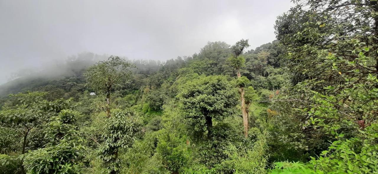 Spinson Home Stay Madikeri Exterior foto
